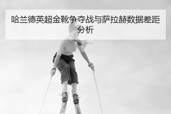 ha-lan-de-ying-chao-jin-xue-zheng-duo-zhan-yu-sa-la-he-shu-ju-cha-ju-fen-xi-3-379.jpg